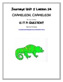 CHAMELEON, CHAMELEON, Is it a Question?