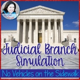 Judicial Branch Simulation: "No Vehicles on the Sidewalk"