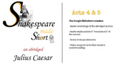 Julius Caesar Act 4 & 5 abridged with  video, & commentary