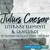 Julius Caesar Literary Elements and Language in Famous Pas
