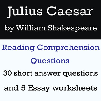 essay questions julius caesar
