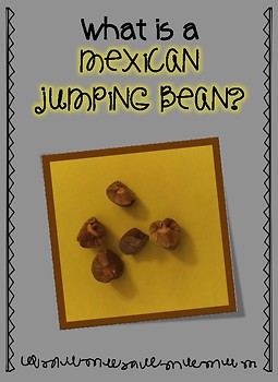 Preview of Jumping Beans - A LIFE CYCLE LESSON - Moth