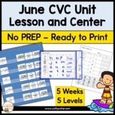 June CVC Unit Lessons, Activities & Center | Multi-Sensory