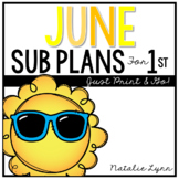 June Emergency Sub Plans for 1st Grade