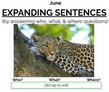 Preview of June Expanding Sentences (by answering WH questions) BOOM CARDS