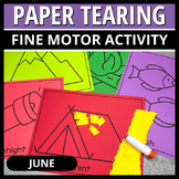 Summer Camping Theme End of the Year Fine Motor Activities