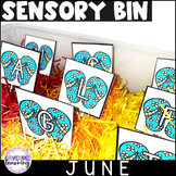 June Sensory Bin for Early Elementary - Summer Sensory Bin