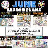June (Summer)- Speech & Language Therapy Lesson Plans