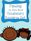 Junebug by Alice Mead Vocabulary Resource Set