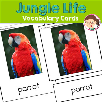 jungle activities for preschool and prek by primary creations by mrs garza