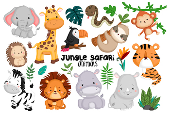 Clipart Jungle Safari Teaching Resources | TPT