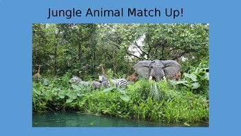 Preview of Jungle Animal Match-Up