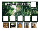 Jungle Animal Token Board - 2 Options!