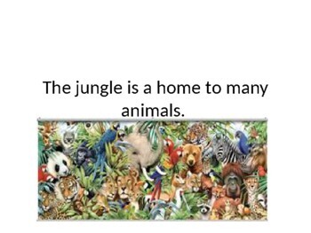 Preview of Jungle Animals Power point , Where we live Unit