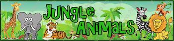 Preview of Jungle Animals Theme Banner