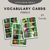 Jungle Animals Vocabulary Cards