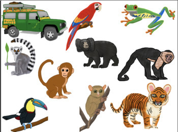 Jungle Safari Clip Art for Personal Use by Ms Kara | TPT