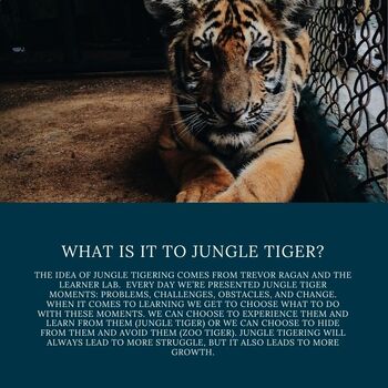 Preview of Jungle Tiger by Trevor Ragan Resource Card