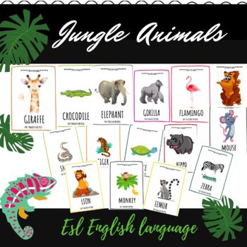Jungle animals - Flashcards for ESL by Fast English for Kids | TPT