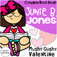 junie b and the mushy gushy valentime