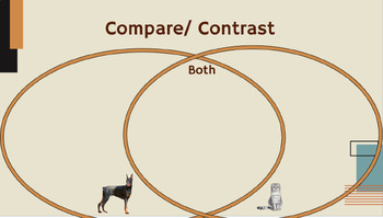 Preview of Junior Elementary School: Teach Compare and Contrast- Interactive Lesson