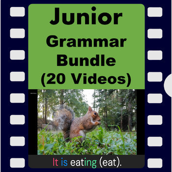 Preview of Junior - Grammar (20 videos - 173 examples) - Videos with audio - Bundle