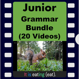 Junior - Grammar (20 videos - 173 examples) - Videos with 