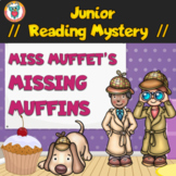 Junior Reading Comprehension Mystery Activity - Worksheets