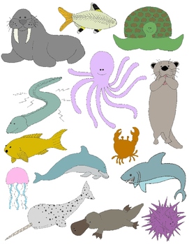 Preview of Just Water Animals Clip Art: 28 PNGs from Oceans, Lakes, Rivers, and More!