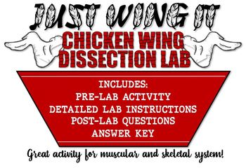 Preview of Just Wing It! Chicken Wing Dissection Lab- Muscular and Skeletal Systems