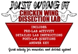 Just Wing It! Chicken Wing Dissection Lab- Muscular and Sk