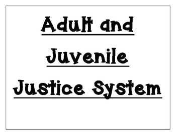 Preview of Juvenile Justice System Word Wall