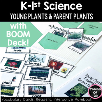 Preview of Kindergarten Science Unit Lesson Young Plants Parent Plants