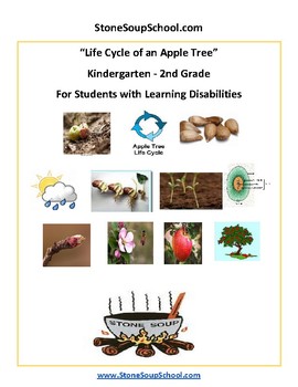 Preview of K- 2, Life Cycle of Apple Tree for Learning Challenged