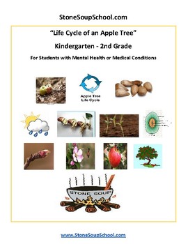 Preview of K- 2, Life Cycle of Apple Tree for M H or Medical Conditions