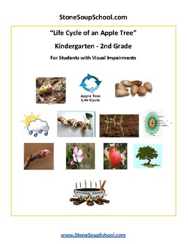 Preview of K - 2: Life Cycle of Apple Tree, Science for the Visually Impaired