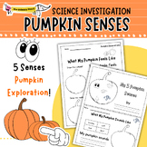 K-2 Pumpkin Sensory Science Activity | Engage Your 5 Sense