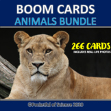 K-3 Animals Boom Cards Bundles