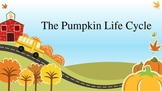 K-4 Life cycle of a pumpkin