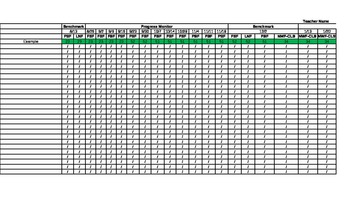 Preview of K-6 DIBELS NEXT EXCEL SPREADSHEETS WITH FORMULAS