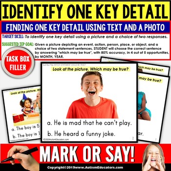 Preview of KEY DETAILS Reading Comprehension Task Cards TASK BOX FILLER - Special Education