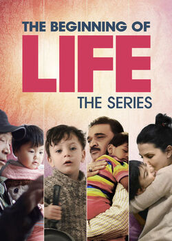 Preview of KEY for The Beginning of Life: Netflix Series Viewing Guide (E 1 FANTASTIC BABY)
