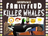 KILLER WHALES (ORCA) - ANIMAL FAMILY FEUD! fun critical th