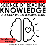 KNOWLEDGE In-a-Click Digital Slides -Grouchy Ladybug FREEB
