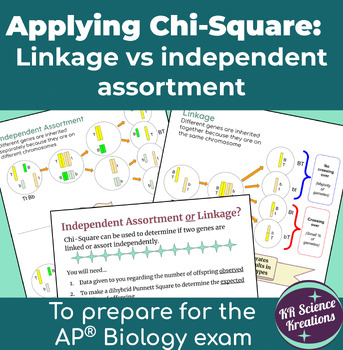 Preview of KR's Chi-Square to Determine Independent Assortment vs Linkage for AP® Biology