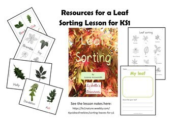 Preview of KS1 Leaf Sorting Activity Resources