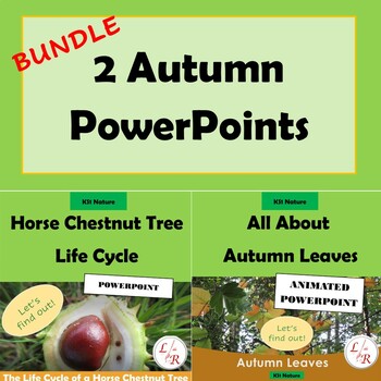 Preview of KS1 Science: Autumn Leaves/Horse Chestnut Tree Life Cycle PowerPoint Bundle