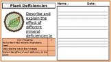 KS3 Science 6 Mark Question with Markscheme - Plant Minerals