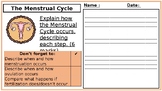 KS3 Science 6 Mark Question with Markscheme - The Menstrual Cycle