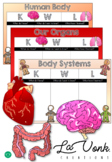 KWL Chart - Human Body - Organs - Systems